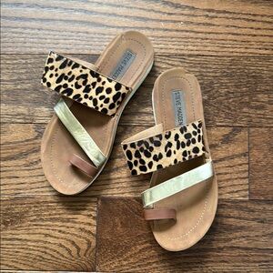 Steve Madden Leopard and Gold Slide Sandals